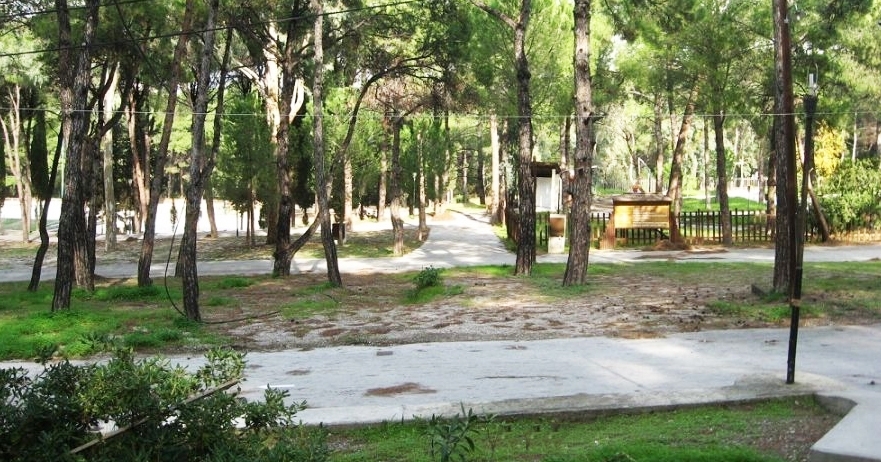 Soroni