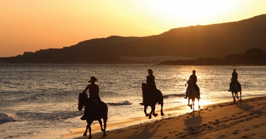 Horse Riding