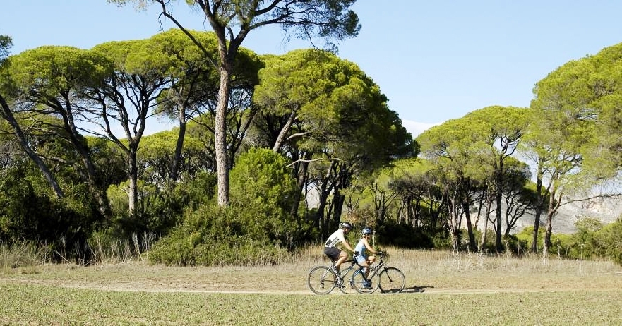 Biking